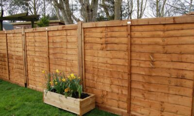 Fence Panels