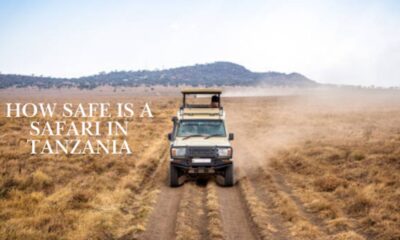 Safari