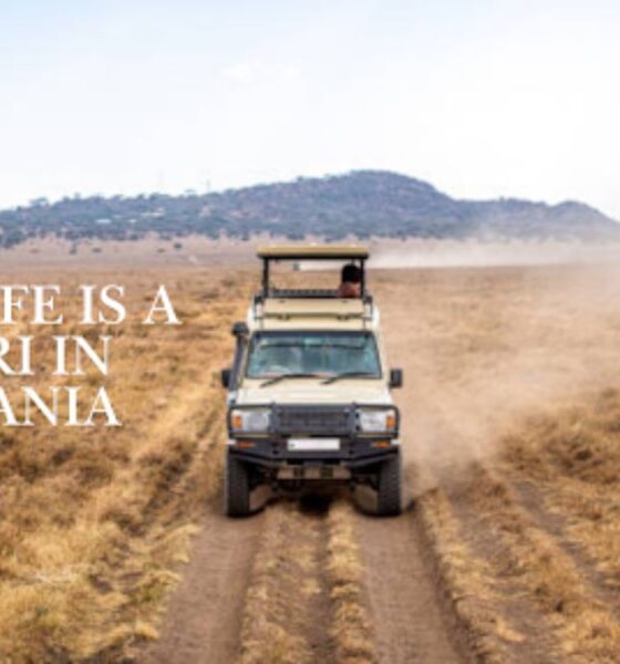 Safari