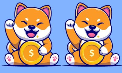 Shiba Inu
