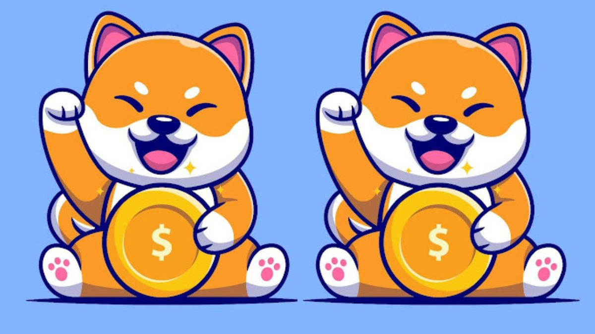 Shiba Inu