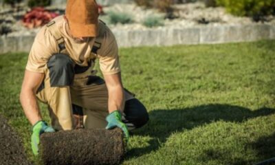 Synthetic Grass Installer