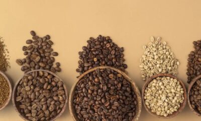 Wholesale Coffee Beans