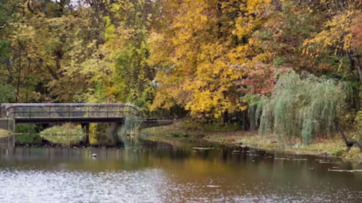denville nj united states