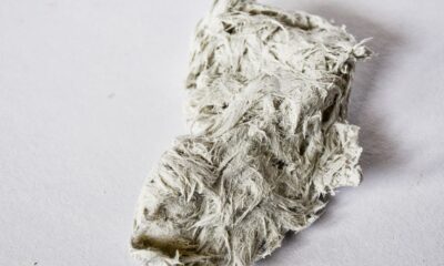 dough moulding compound