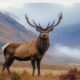 red stag