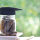 traceloans.com student loans
