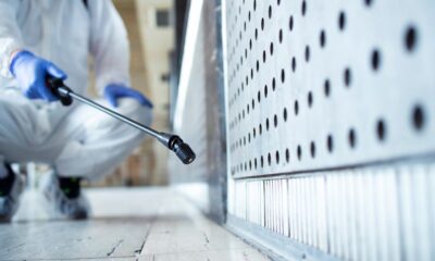 Early Pest Detection