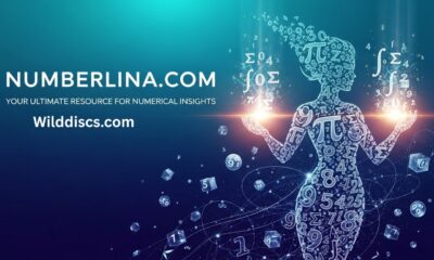 Numberlina.com: Your Ultimate Resource for Numerical Insights