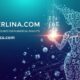 Numberlina.com: Your Ultimate Resource for Numerical Insights