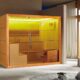 Popularity of Saunas