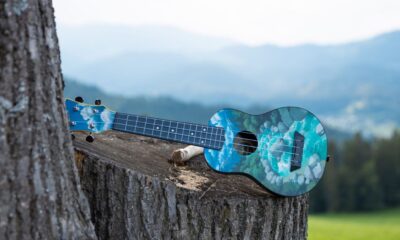 historia del ukelele