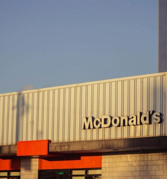 mcdfoofforthoughts.com