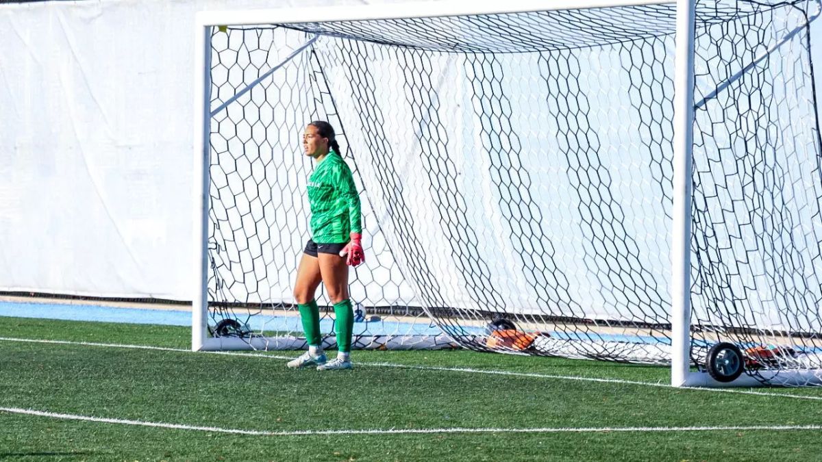Basketball and Volleyball
